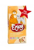 Enjoy Multicolor