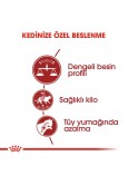 Royal Canin Fit32