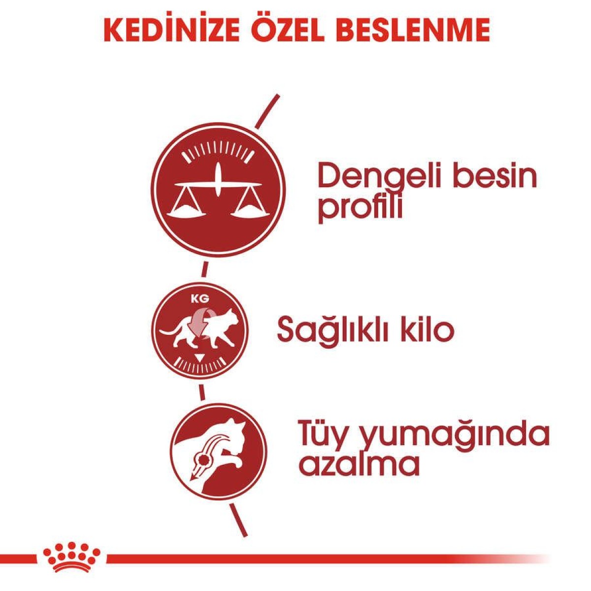 Royal Canin Fit32 Yetişkin Kedi Maması