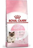 Royal Canın Mother And Babycat Anne ve Yavru Kedi Kuru Maması 400 gr