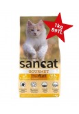 San Cat Gourmet