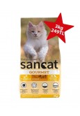 San Cat Gourmet