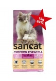 San Cat Kitten