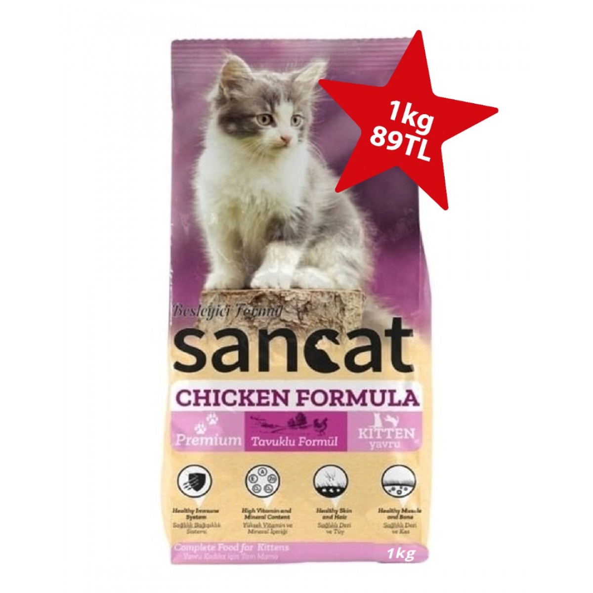 San Cat Kitten Yavru Kedi Maması