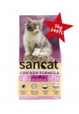 San Cat Kitten